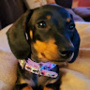 Meet your Posher, Cb